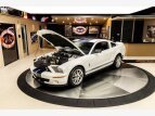 Thumbnail Photo 6 for 2007 Ford Mustang Shelby GT500